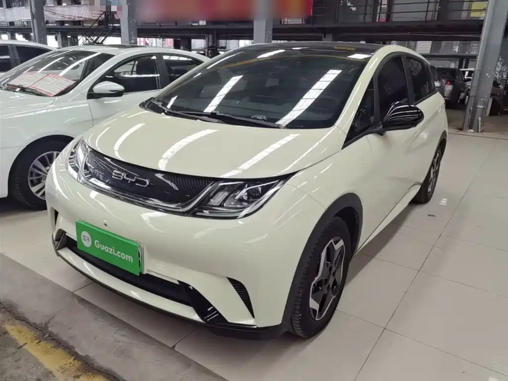 Byd Dolphin 2022