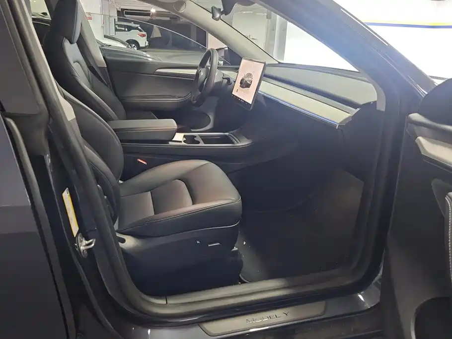 Tesla Model Y — миниатюра 8