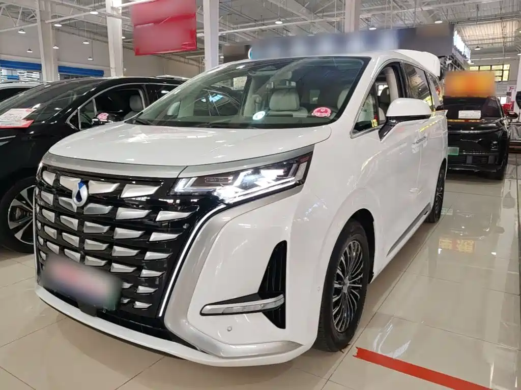 Denza Denza D9 — миниатюра 2