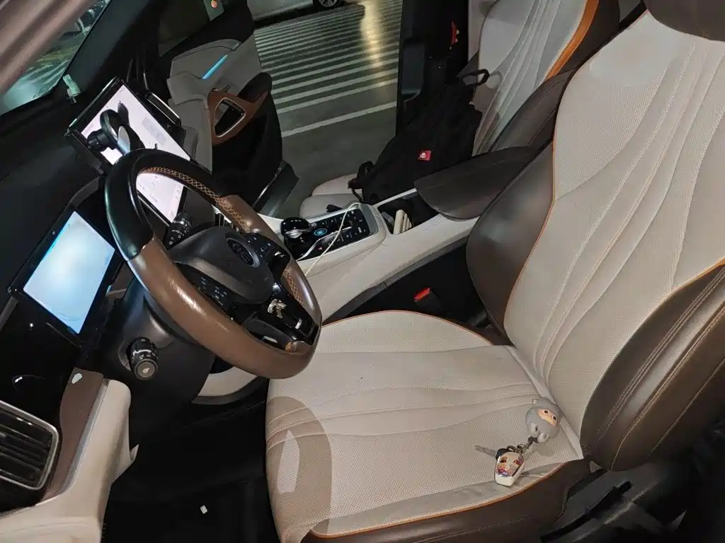 BYD Pro New Energy — миниатюра 8