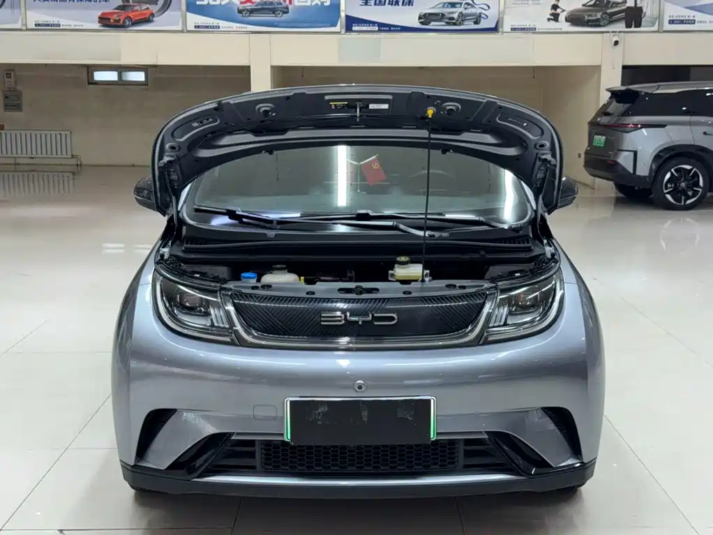 BYD Dolphin — миниатюра 7