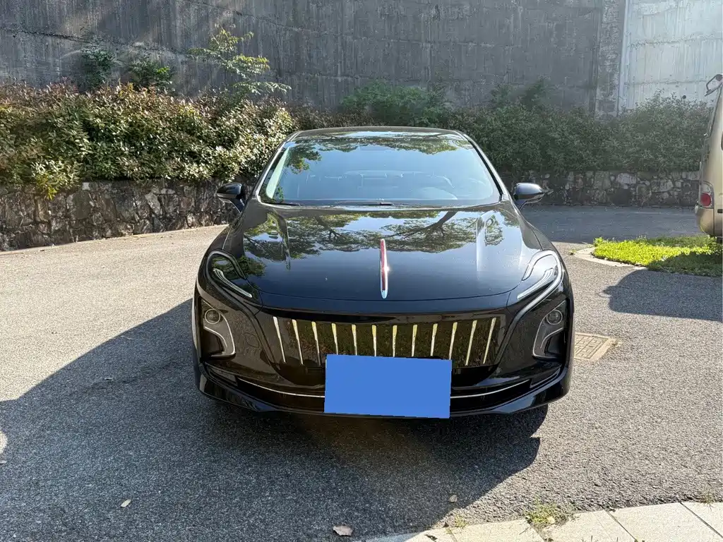 Hongqi Hongqi E-QM5 — миниатюра 3