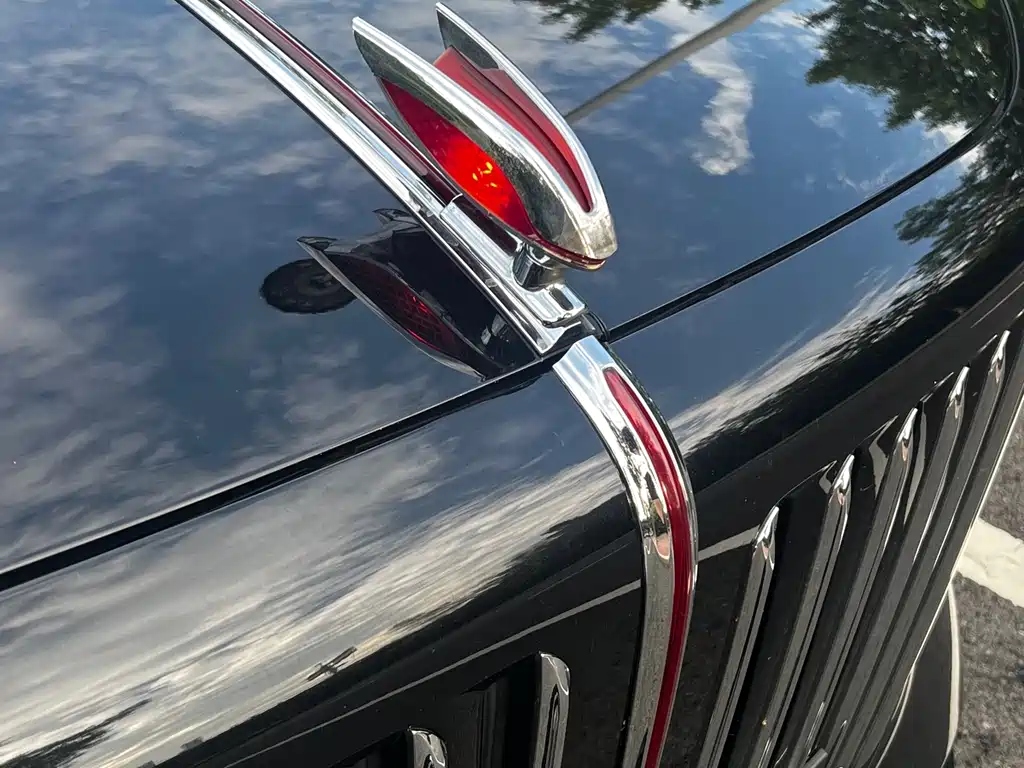Hongqi Hongqi E-HS9 — миниатюра 5