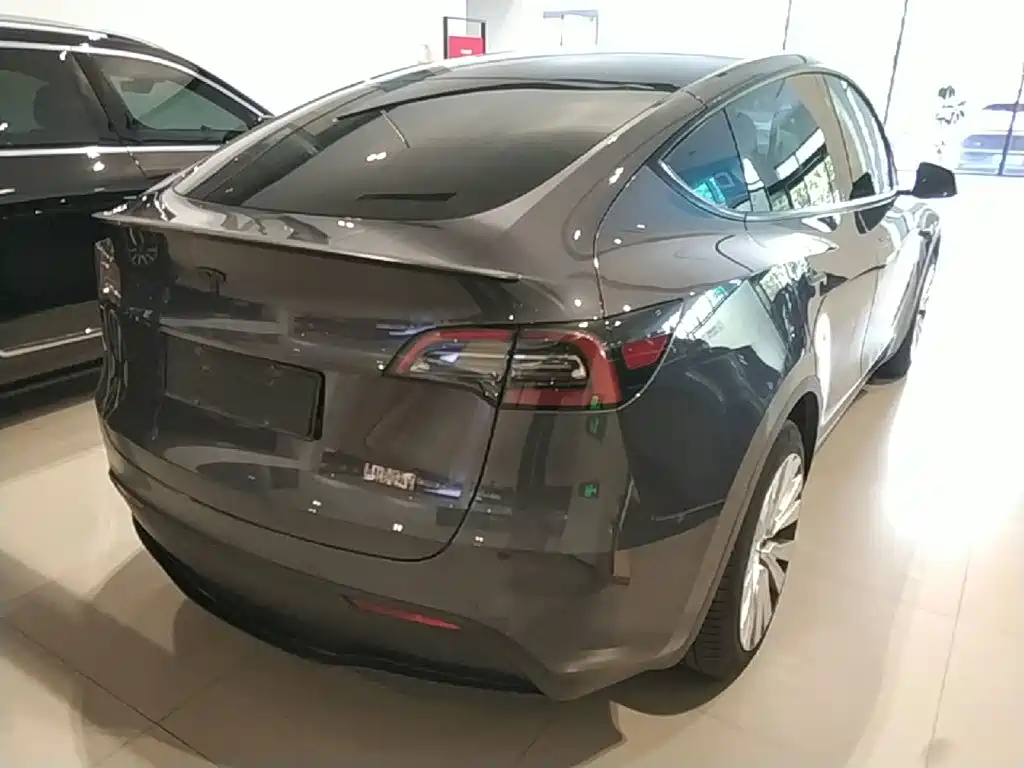 Tesla Model Y — миниатюра 7