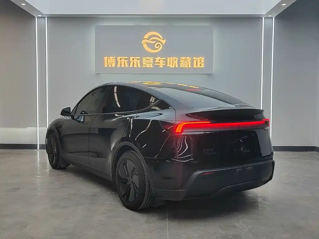Tesla Model Y — миниатюра 4