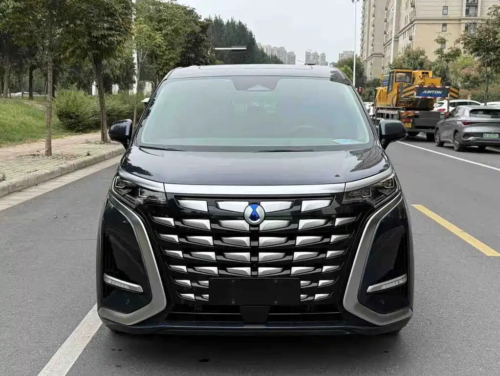 Denza Denza D9 — миниатюра 2