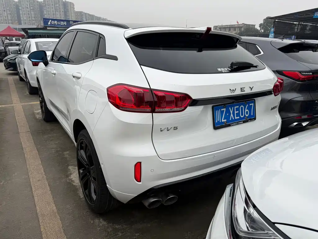 WEI PAI WEI BRAND VV5