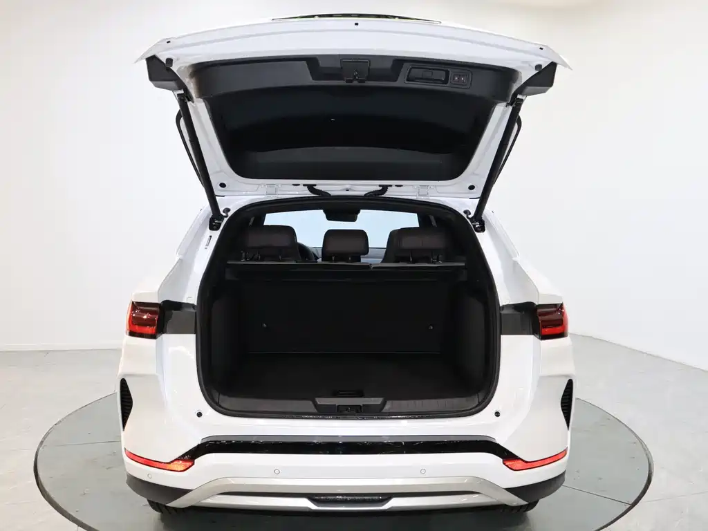 BYD SONGJIANG NEW ENERGY