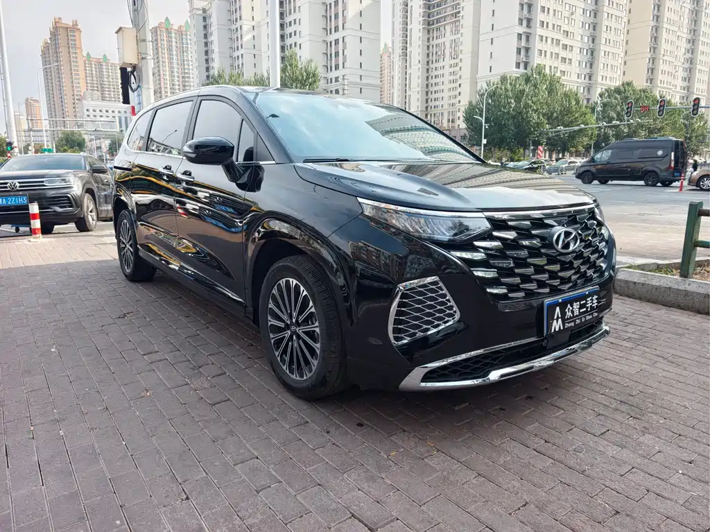 Hyundai Custo — миниатюра 2
