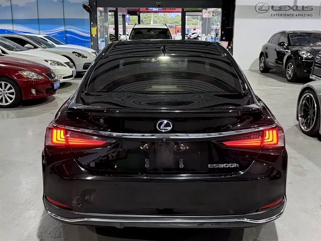 Lexus ES 2018 300h Premium V