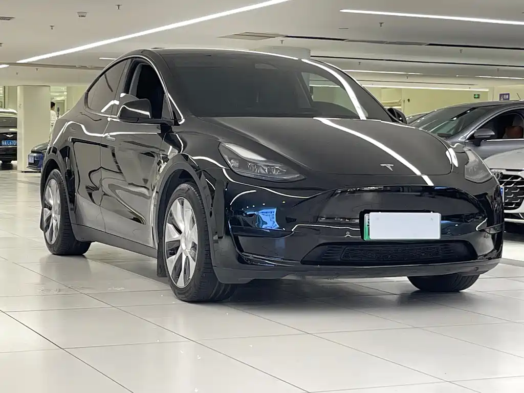 Tesla Model Y — миниатюра 3