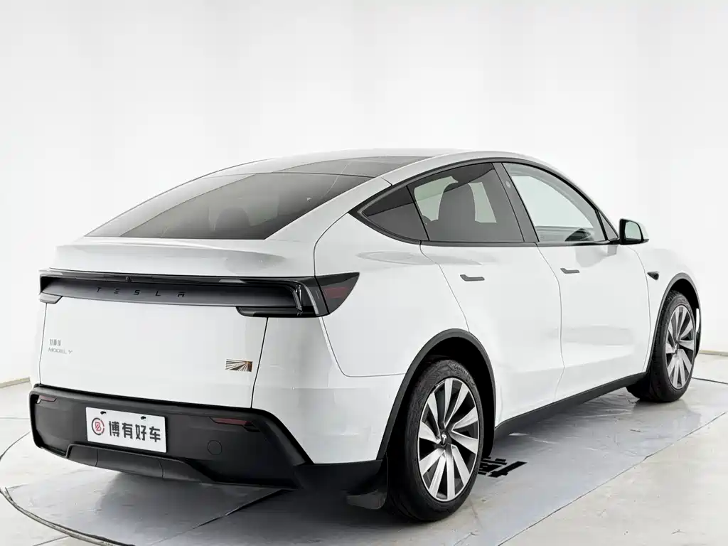 Tesla Model Y — миниатюра 13