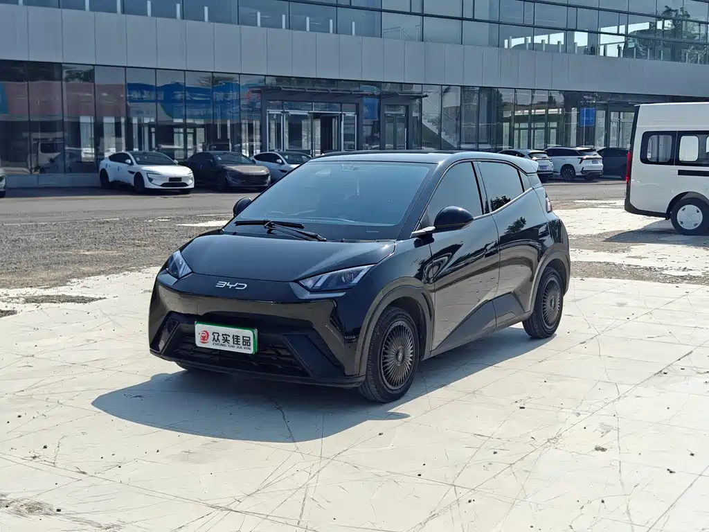 Byd Seagull 2024
