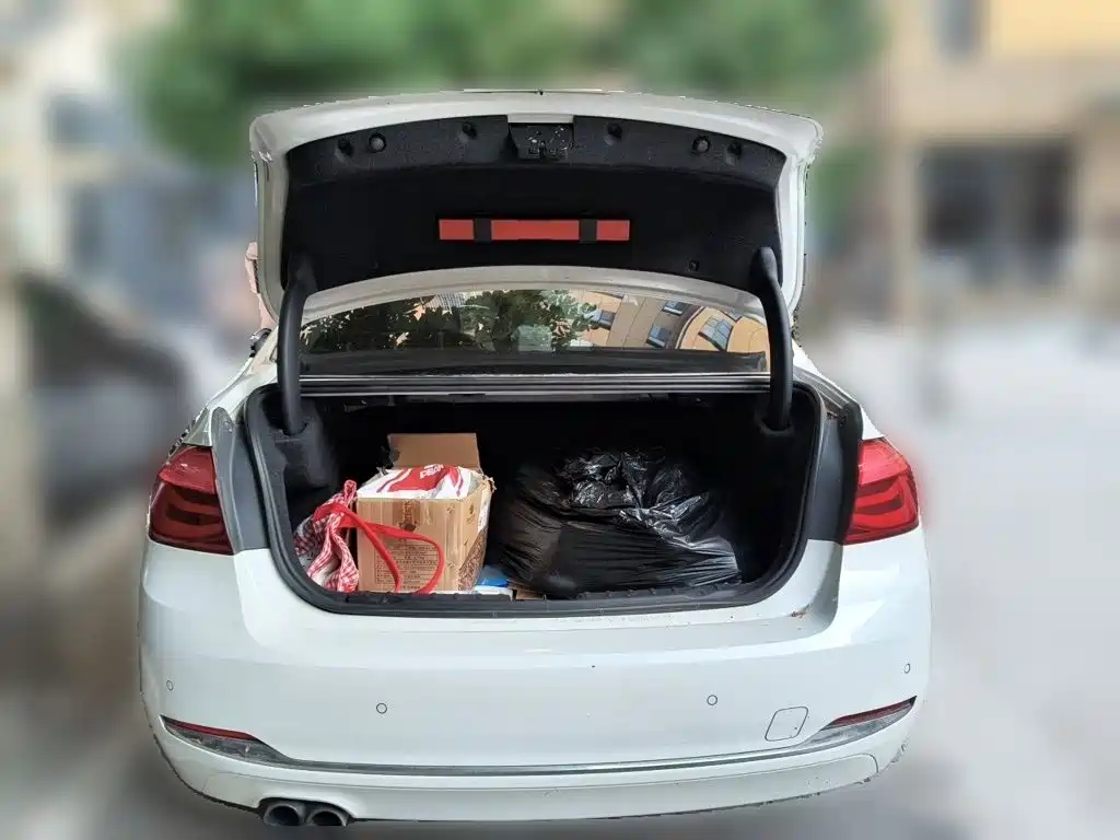 BMW 3 Series — миниатюра 10