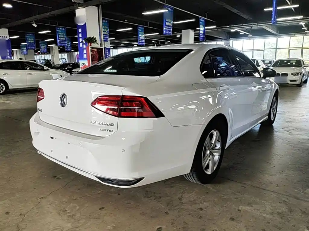 Volkswagen Lamando — миниатюра 7