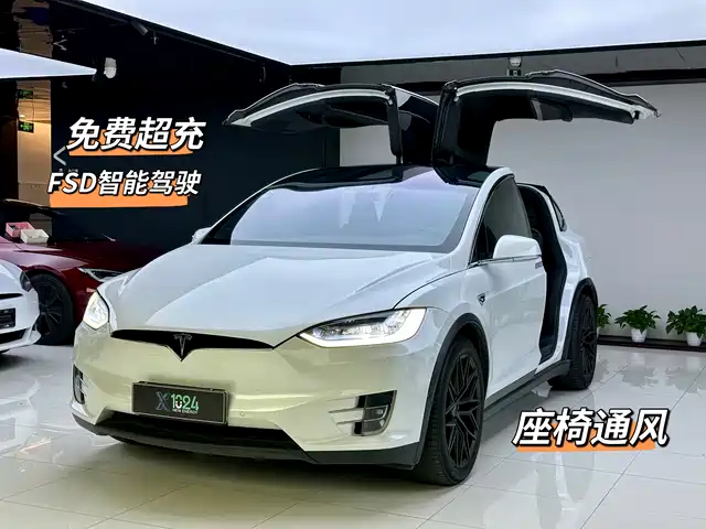TESLA MODEL X 2019