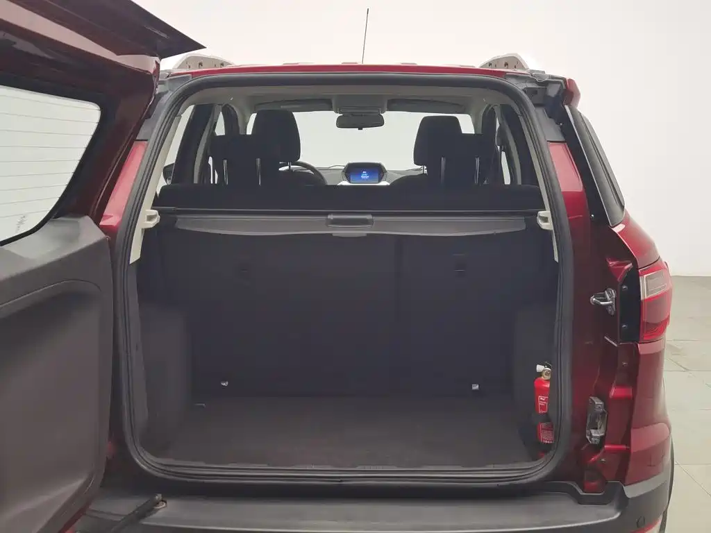 Ford Ecosport — миниатюра 16