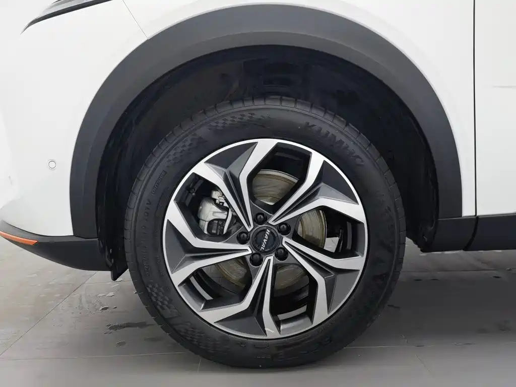 Haval Shenshou — миниатюра 17