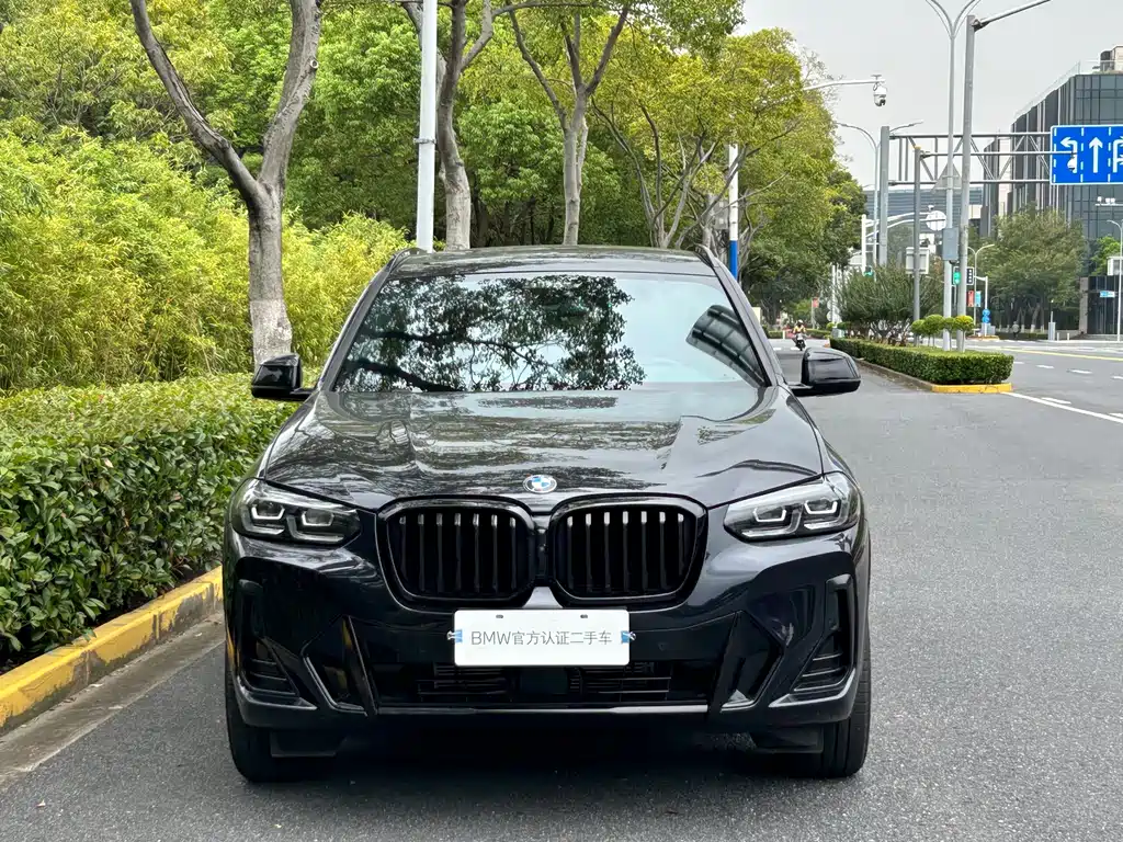 BMW X3 — миниатюра 2