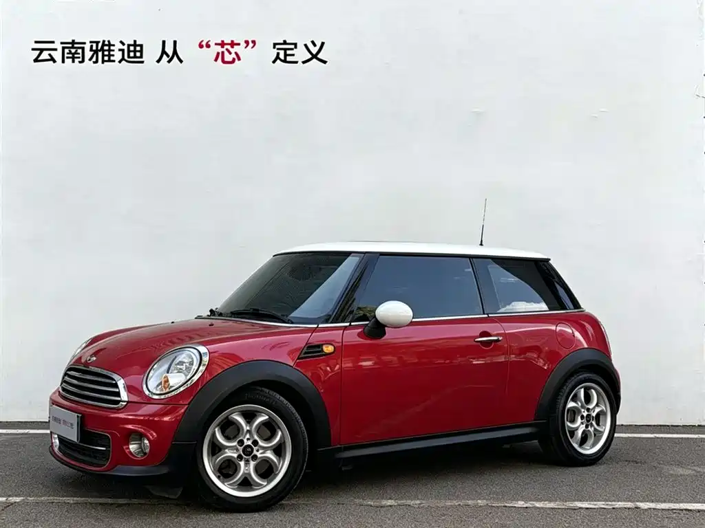 Mini Mini 2013