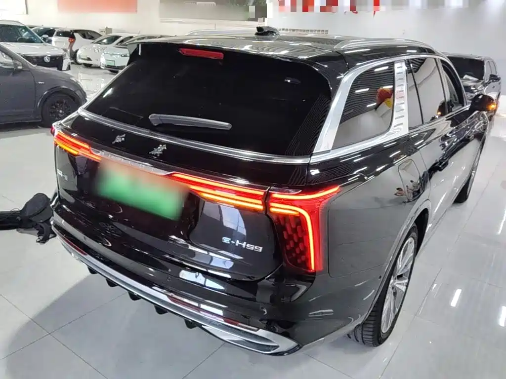 Hongqi Hongqi E-HS9 — миниатюра 7
