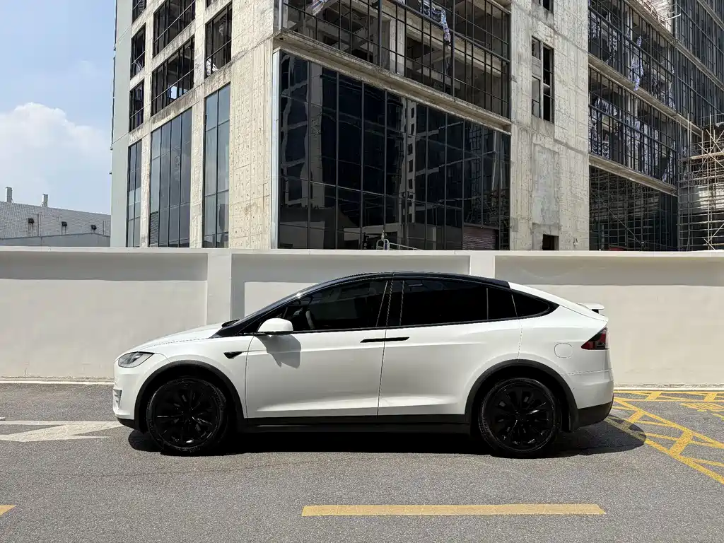 Tesla Model X — миниатюра 3