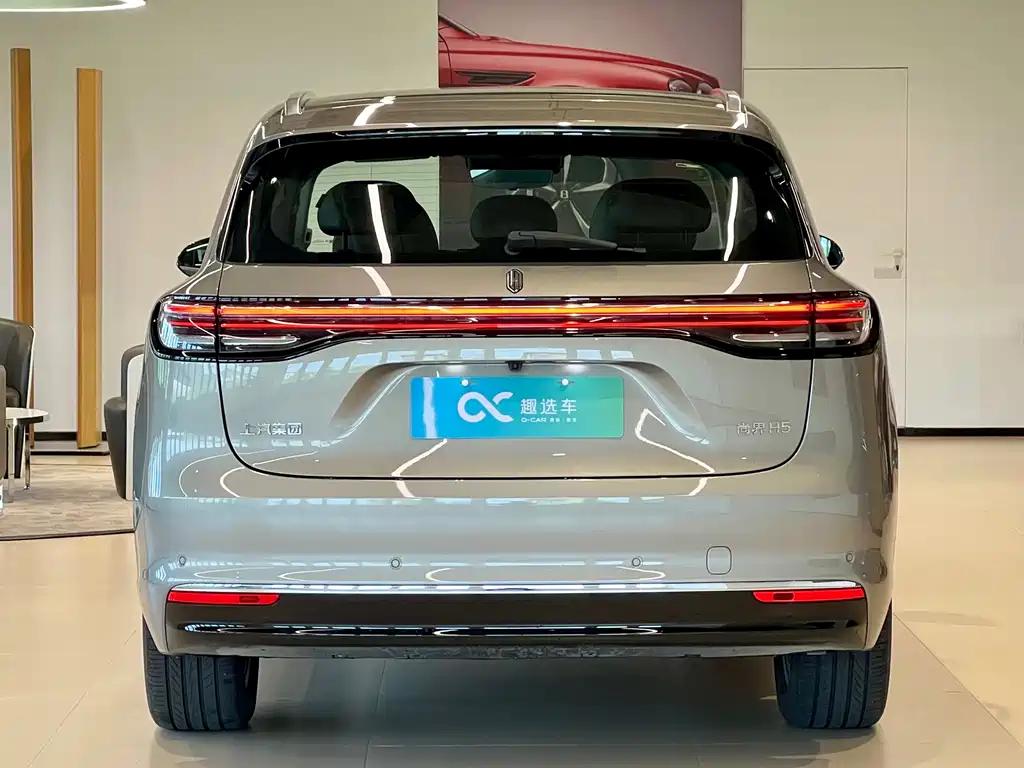 Сангтан Sangtang H5 — миниатюра 6