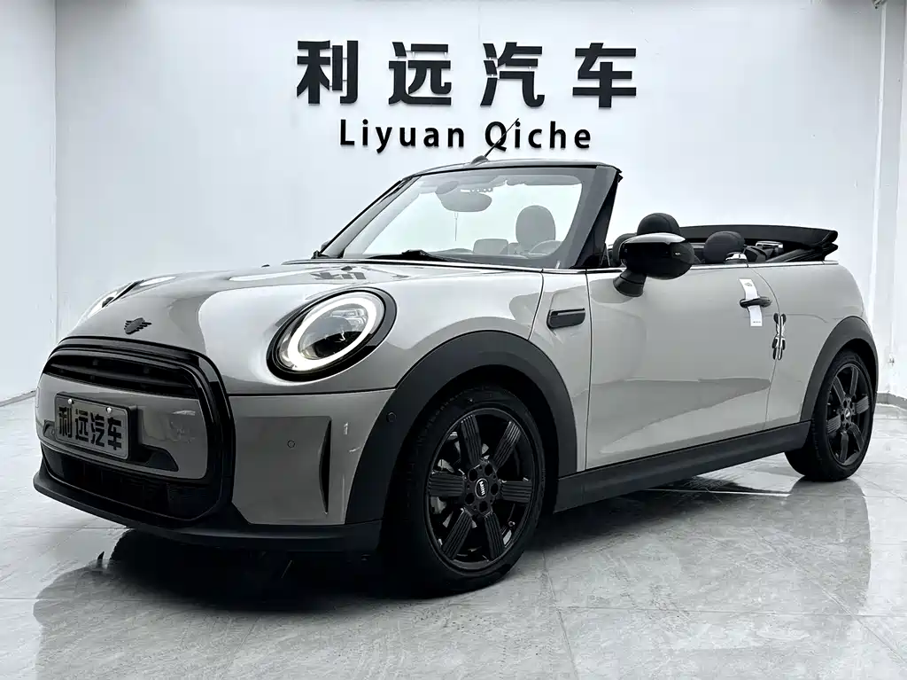 Mini Mini 2023