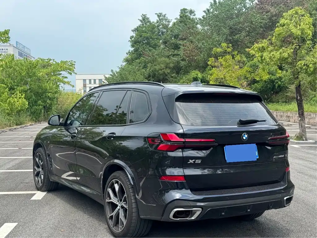 BMW X5 — миниатюра 6