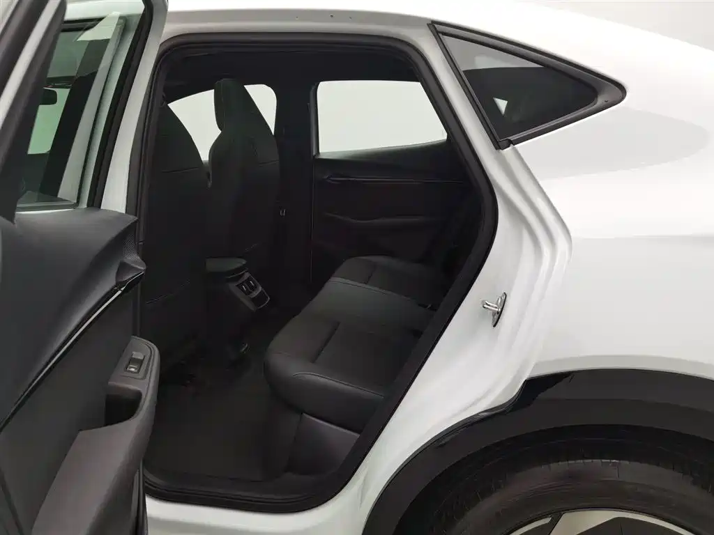 VOLKSWAGEN WITH THE CROWD 06