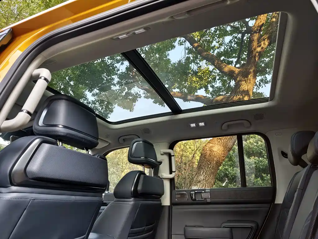 FANG CHENG BAO LEOPARD 5