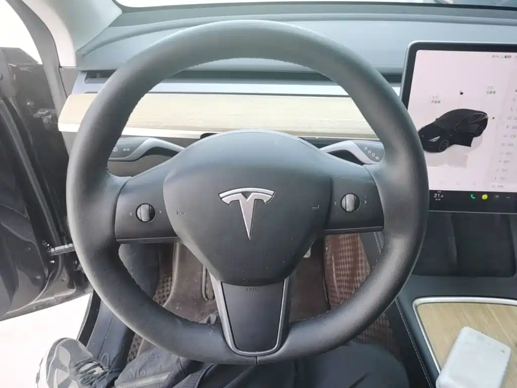 Tesla Model Y — миниатюра 11