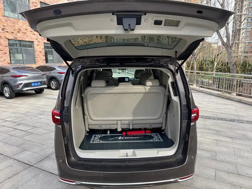 Buick GL8 — миниатюра 13
