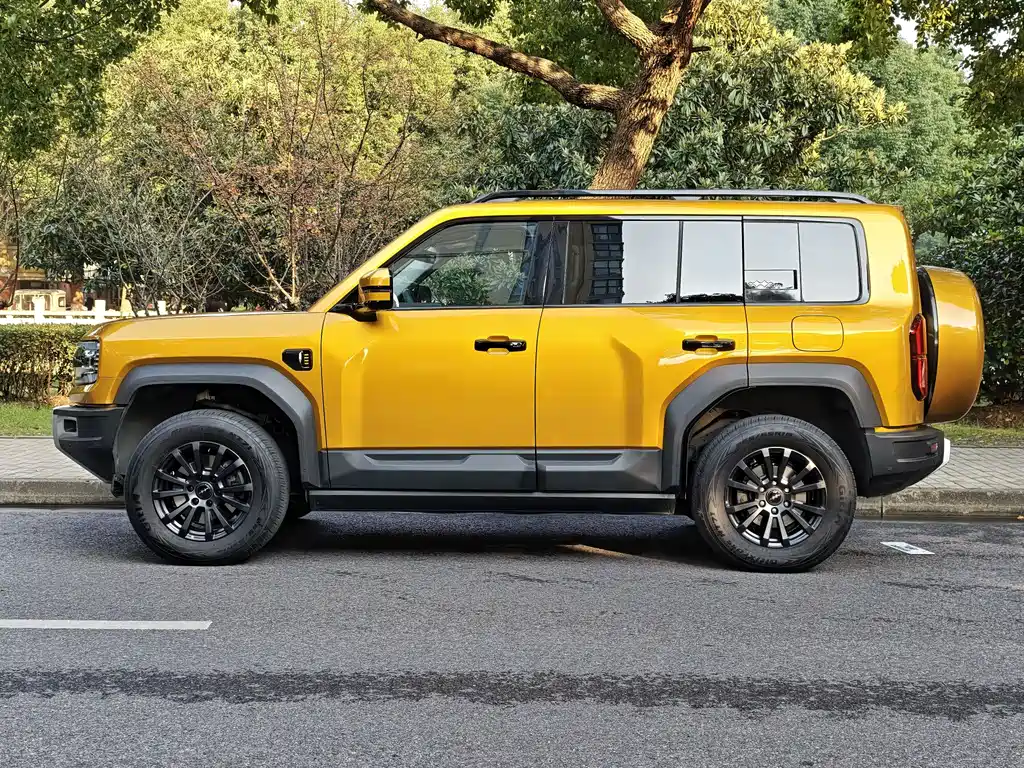 FANG CHENG BAO LEOPARD 5