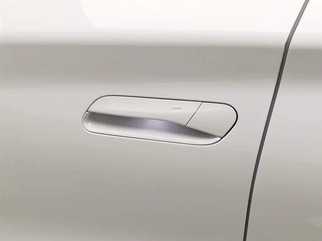 VOLKSWAGEN WITH THE CROWD 06