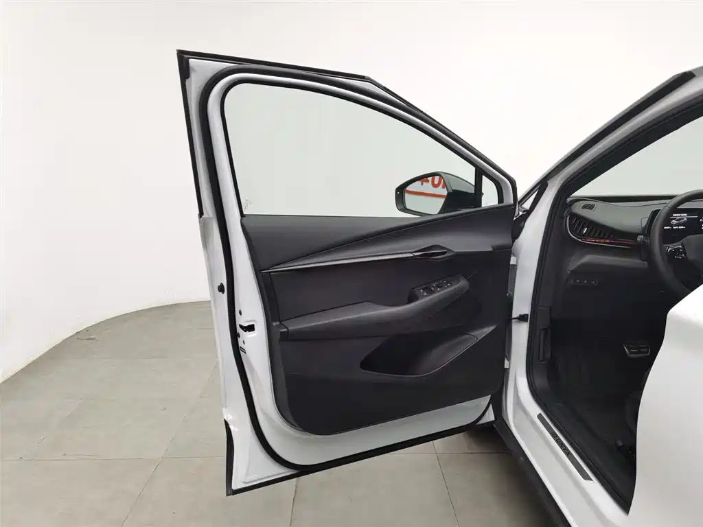 VOLKSWAGEN WITH THE CROWD 06