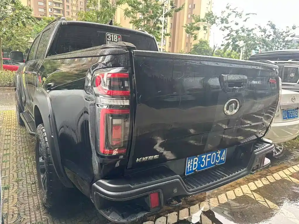 Great Wall Pao — миниатюра 5