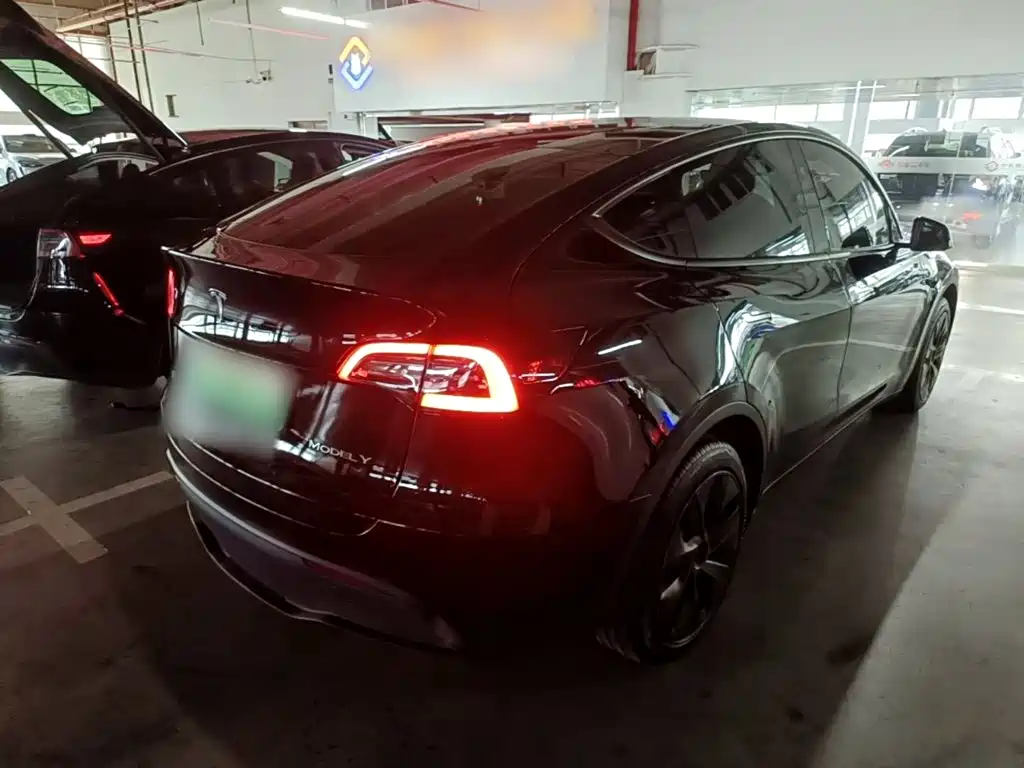 Tesla Model Y — миниатюра 7