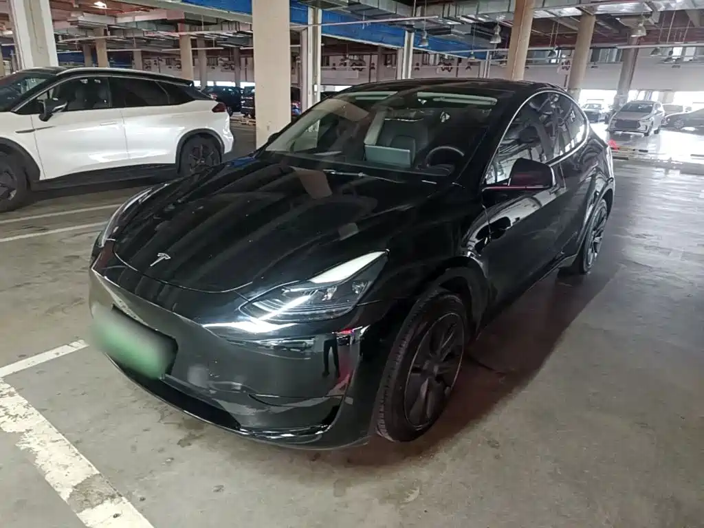 Tesla Model Y — миниатюра 2
