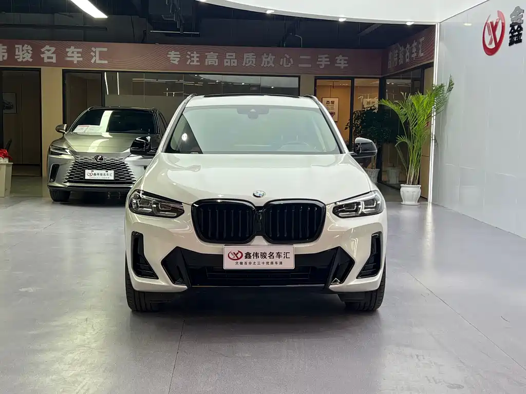 BMW X3 — миниатюра 3