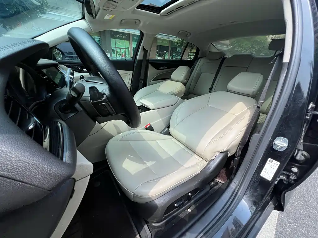 Buick Regal — миниатюра 14