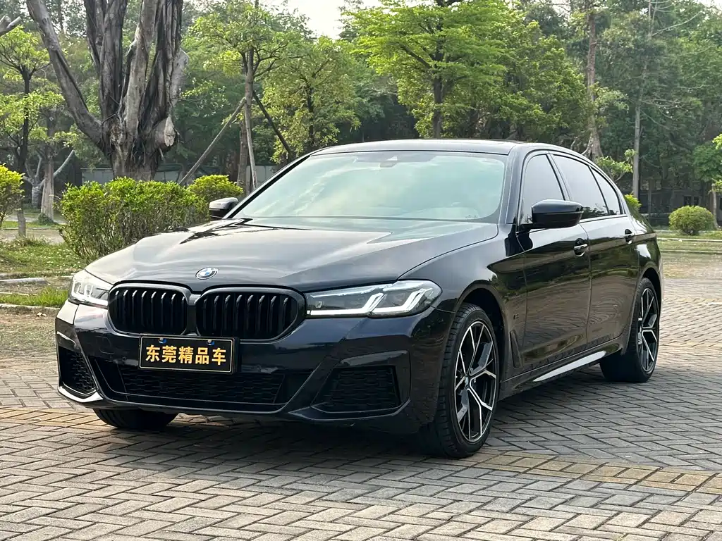 BMW 5 Series 5 2021 530Li Lead M Sport