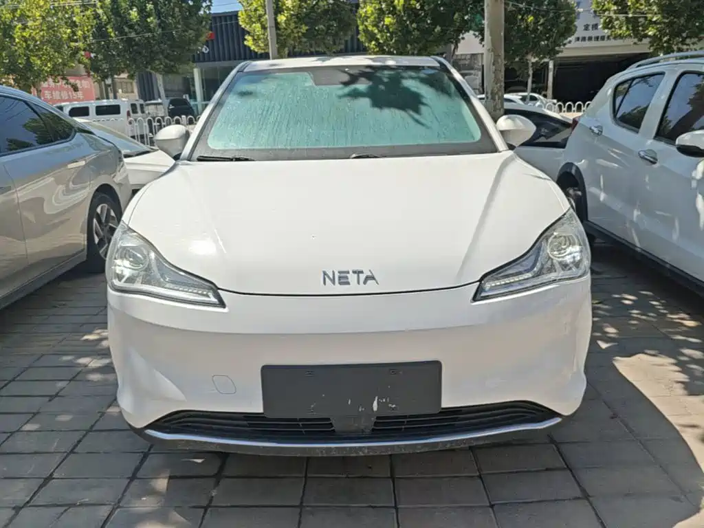 Neta Neta V — миниатюра 3