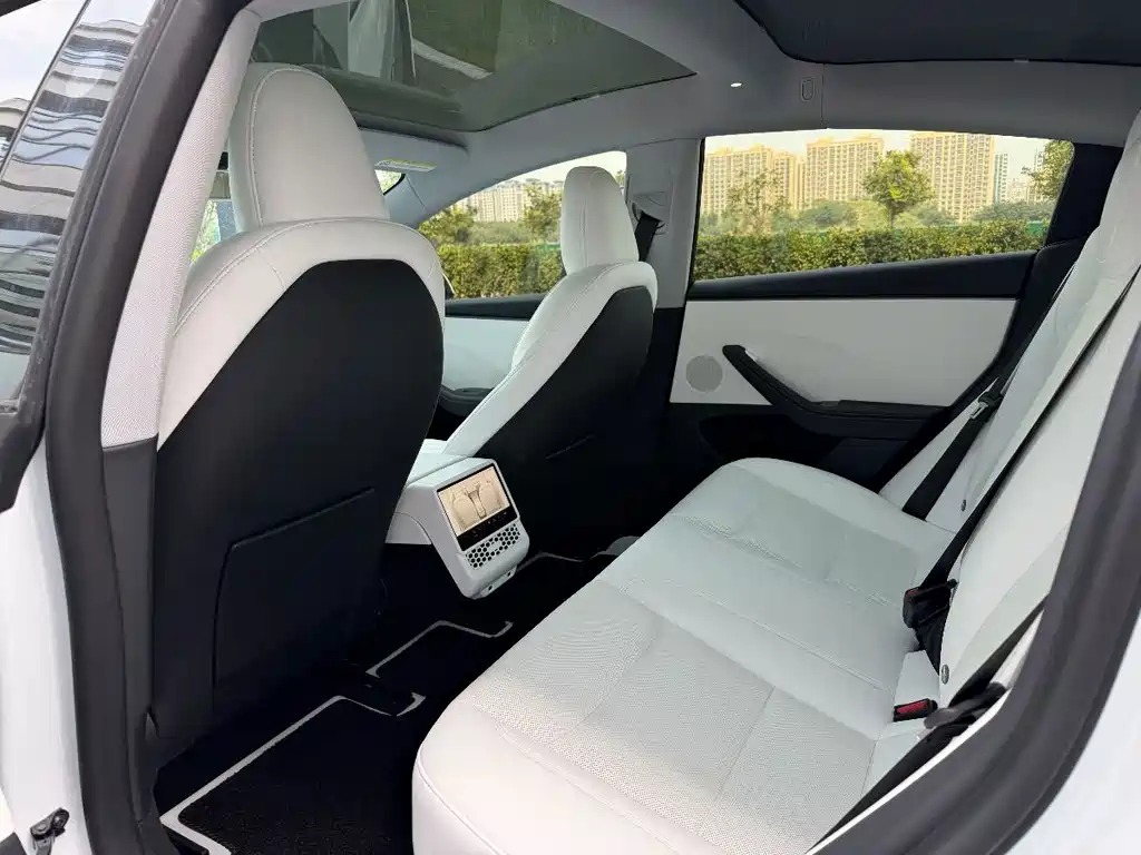 Tesla Model 3 — миниатюра 14