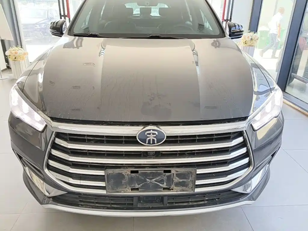 BYD Pro — миниатюра 3