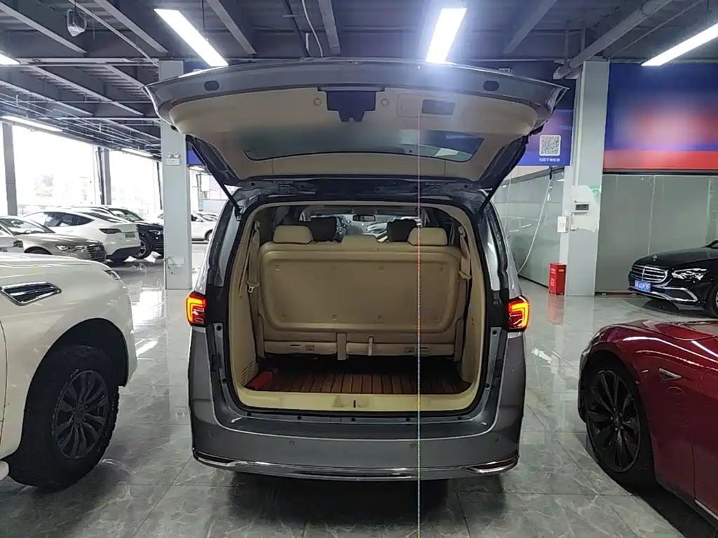 Buick GL8 — миниатюра 19