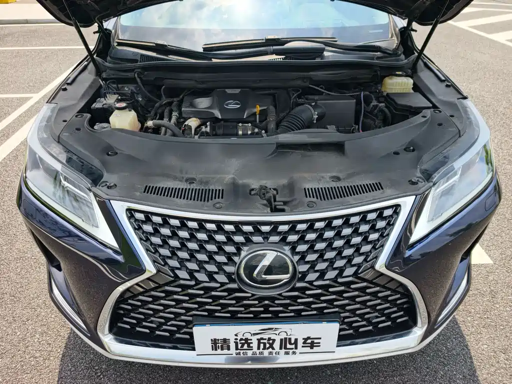 Lexus RX — миниатюра 21