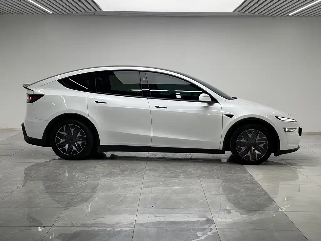 Tesla Model Y L — миниатюра 8