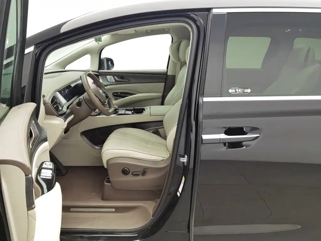 Denza Denza D9 — миниатюра 10