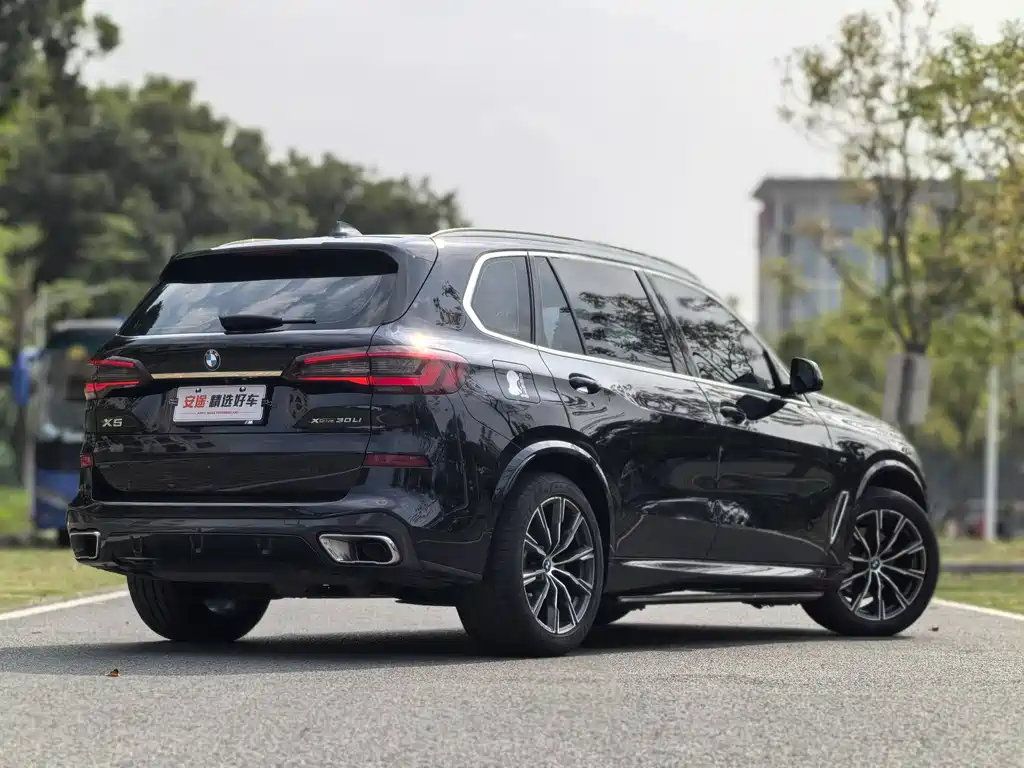 BMW X5 2022 xDrive 30Li M Sport